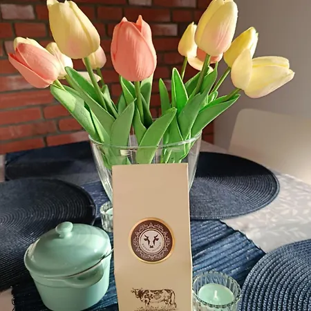Apartment Eliblue -twoj Trzebienczyce