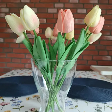 Apartamento Eliblue -twój Trzebienczyce