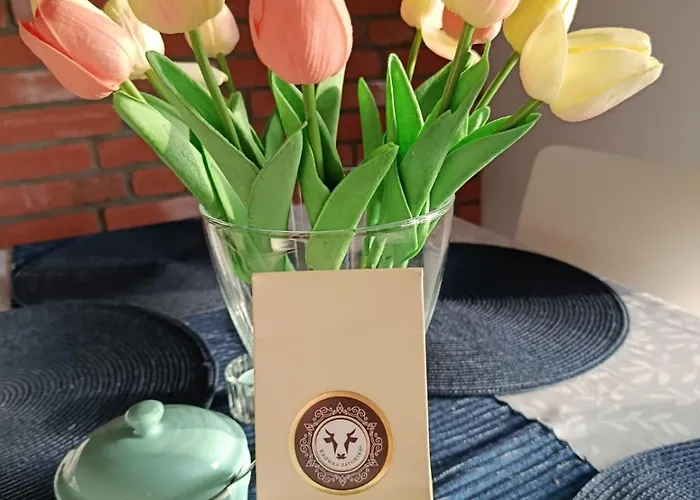 Apartament Eliblue -twój Trzebienczyce